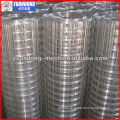 Hot dipped Welded Wire Mesh/welded wire mesh hot galv.after/hot galv.welded wire mesh